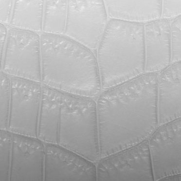 Leaf vein gradation Gray iPhone7 Wallpaper