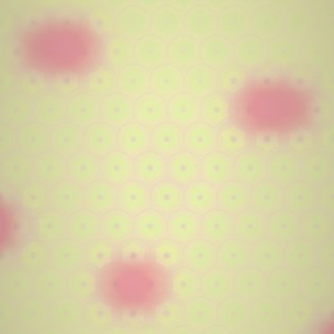 Gradation pattern Yellow red iPhone7 Wallpaper