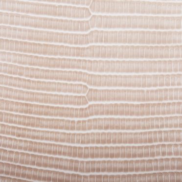 Leaf vein gradation Brown iPhone7 Wallpaper