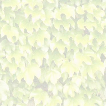 Leaf pattern yellow iPhone7 Wallpaper