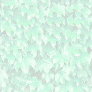 Leaf pattern Green iPhone7 Wallpaper