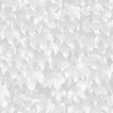 Leaf pattern Gray iPhone7 Wallpaper