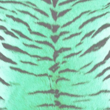 Fur pattern tiger Blue green iPhone7 Wallpaper
