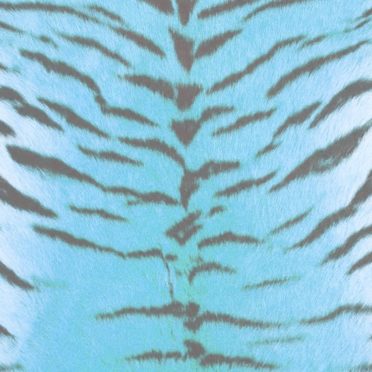 Fur pattern tiger Blue iPhone7 Wallpaper