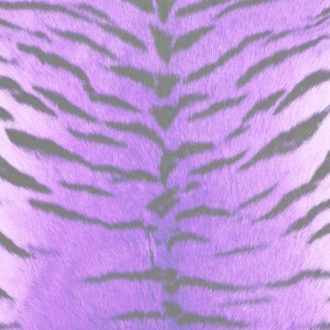 Fur pattern tiger Purple iPhone7 Wallpaper