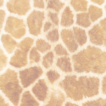 Fur pattern orange iPhone7 Wallpaper