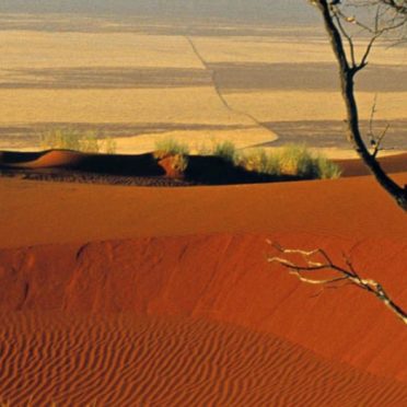 Desert landscape iPhone7 Wallpaper