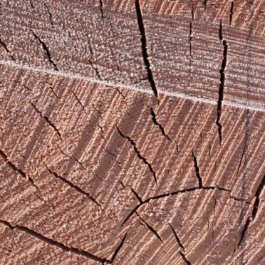 Kabekicha iPhone7 Wallpaper