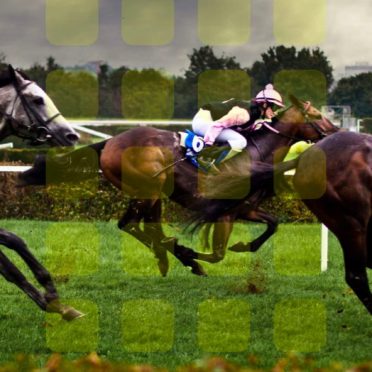 Landscape horse racing Ki shelf iPhone7 Wallpaper