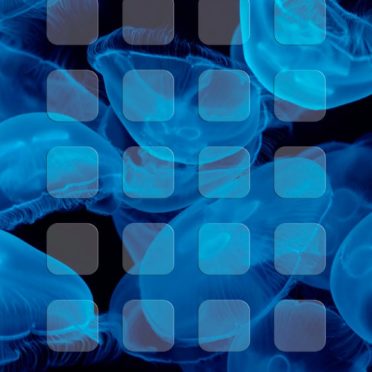Jellyfish black blue shelf iPhone7 Wallpaper