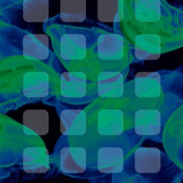 Jellyfish blue green black shelf iPhone7 Wallpaper