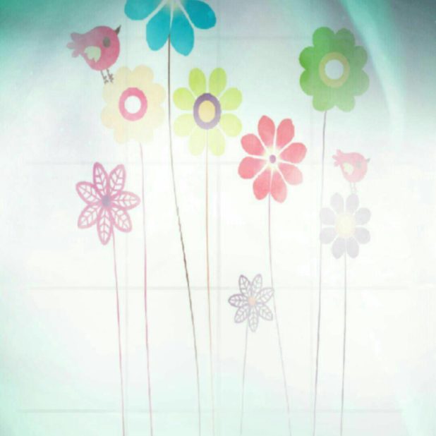 Flower bird iPhone7 Plus Wallpaper