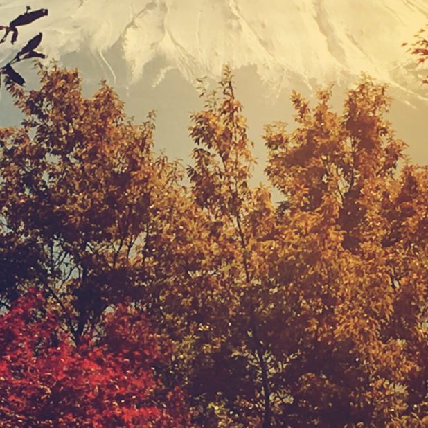 Mt. Fuji autumn leaves iPhone7 Plus Wallpaper