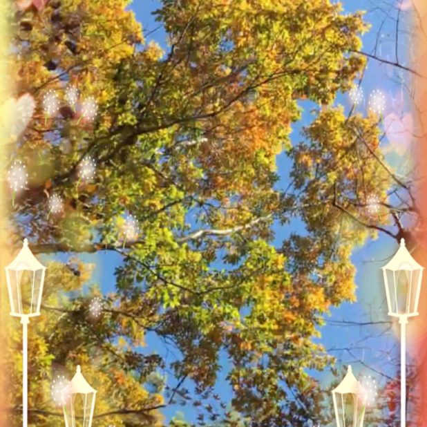 Street Tree Street Lamp iPhone7 Plus Wallpaper