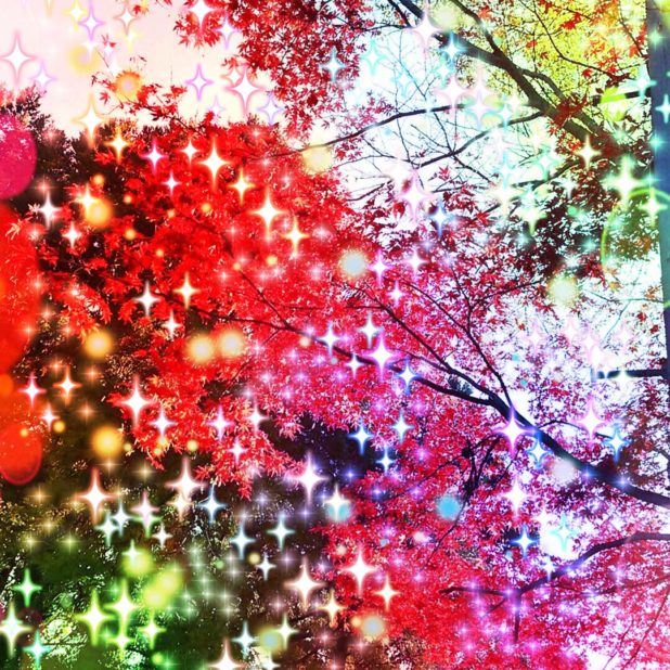 Autumn leaves light iPhone7 Plus Wallpaper