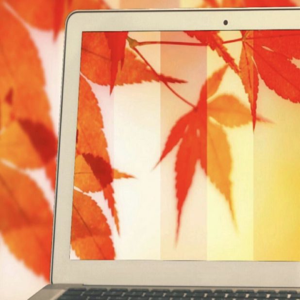 Autumnal leaves PC iPhone7 Plus Wallpaper
