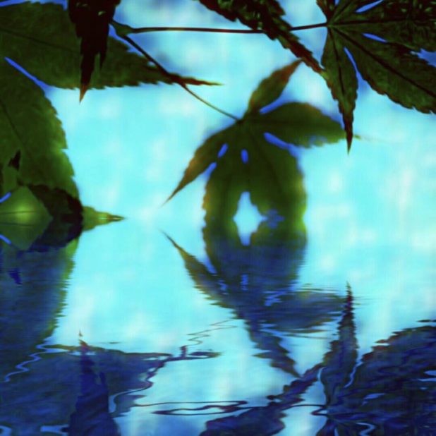 Autumn foliage water surface iPhone7 Plus Wallpaper