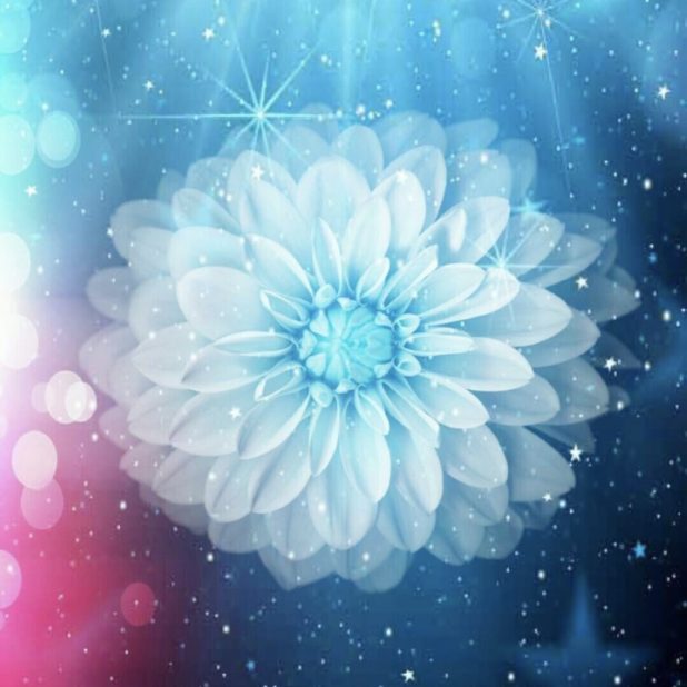 Flower Space iPhone7 Plus Wallpaper