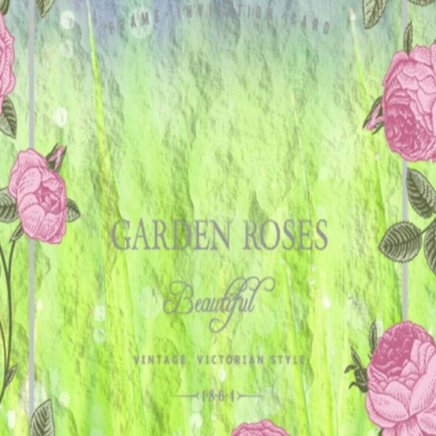 Rose Garden iPhone7 Plus Wallpaper