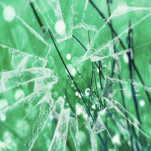 Glass green iPhone7 Plus Wallpaper