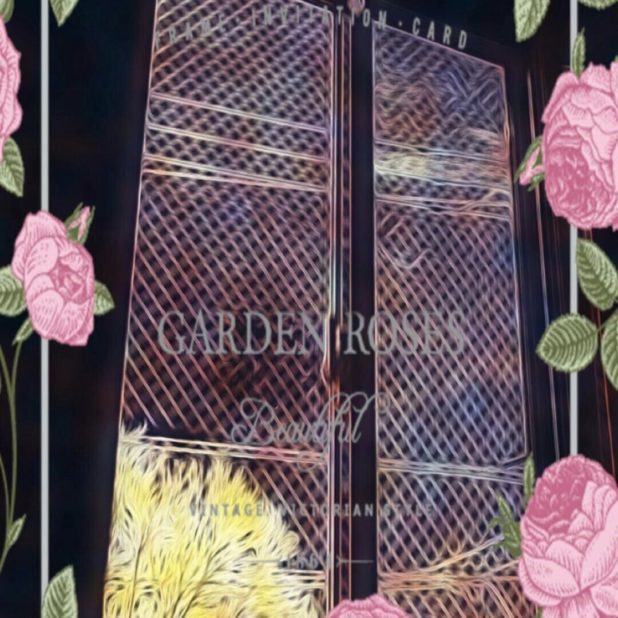 Rose window iPhone7 Plus Wallpaper