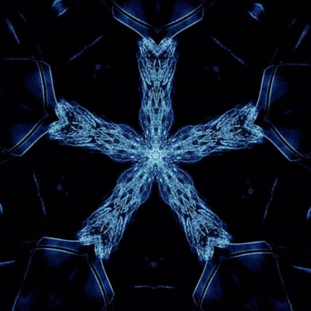 Starfish Blue iPhone7 Plus Wallpaper