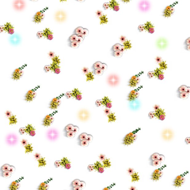 Flower cute iPhone7 Plus Wallpaper