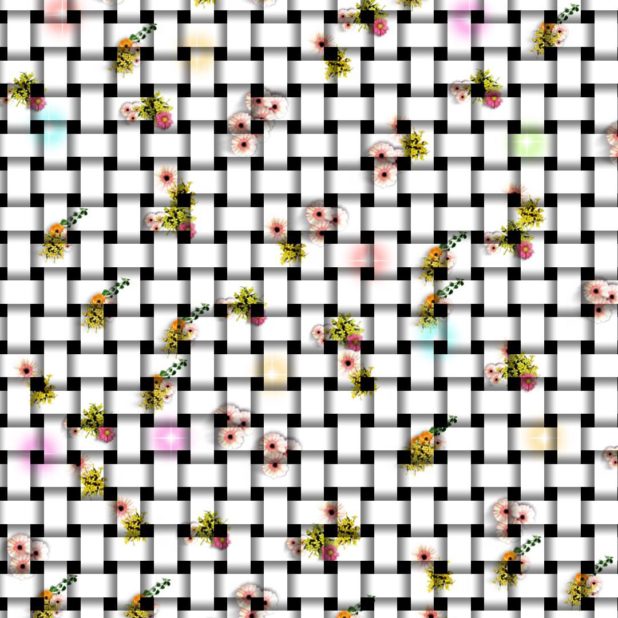 Flower mesh iPhone7 Plus Wallpaper