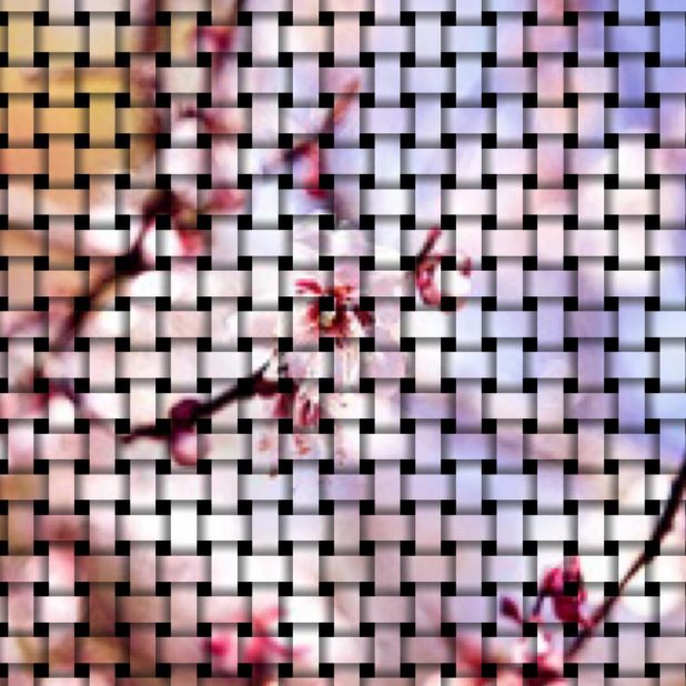 Cherry mesh iPhone7 Plus Wallpaper