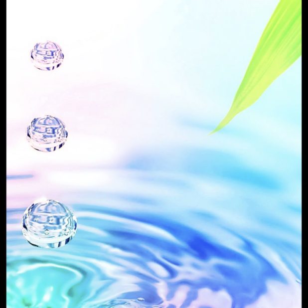 Waterdrop Leaves iPhone7 Plus Wallpaper