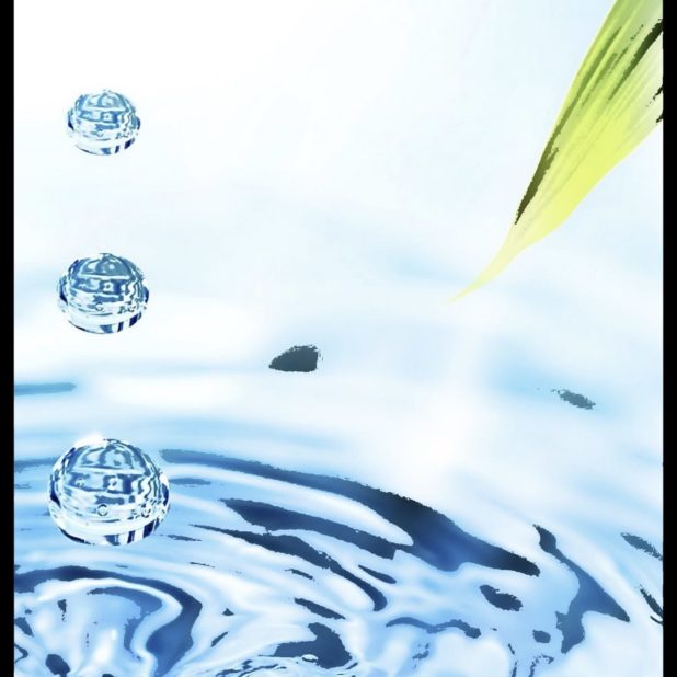 Water Leaf iPhone7 Plus Wallpaper