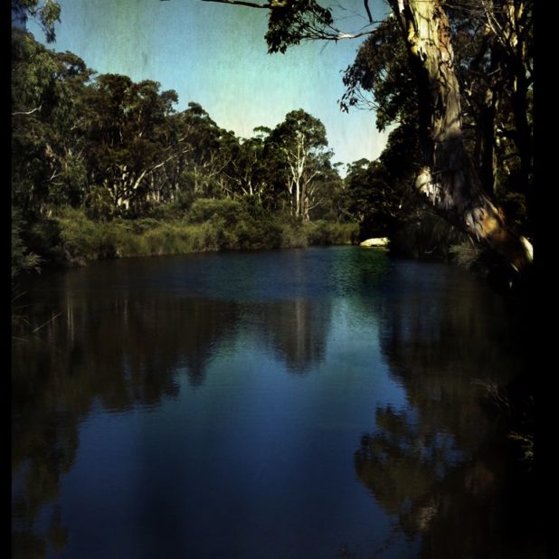 River nature iPhone7 Plus Wallpaper