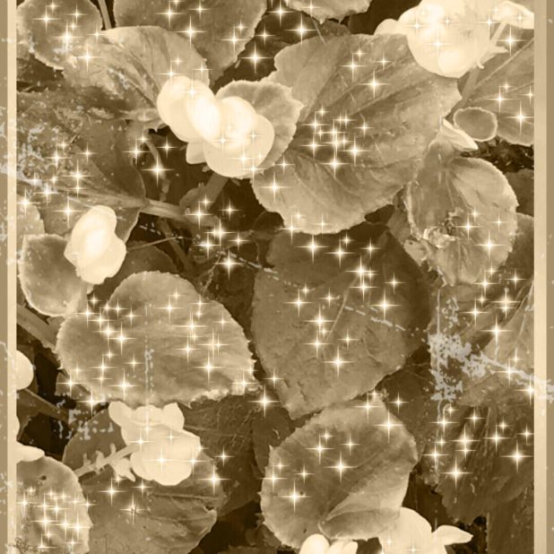 Flower sepia iPhone7 Plus Wallpaper