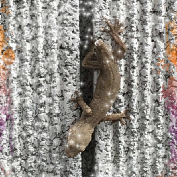 Lizard light iPhone7 Plus Wallpaper