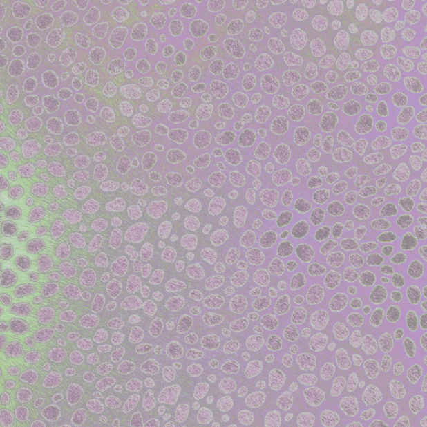 pattern Purple iPhone7 Plus Wallpaper