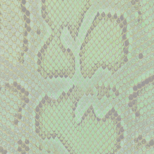 Python pattern yellow iPhone7 Plus Wallpaper