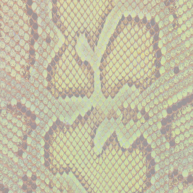 Python pattern orange iPhone7 Plus Wallpaper