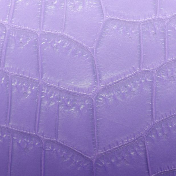 Leaf vein gradation Purple iPhone7 Plus Wallpaper