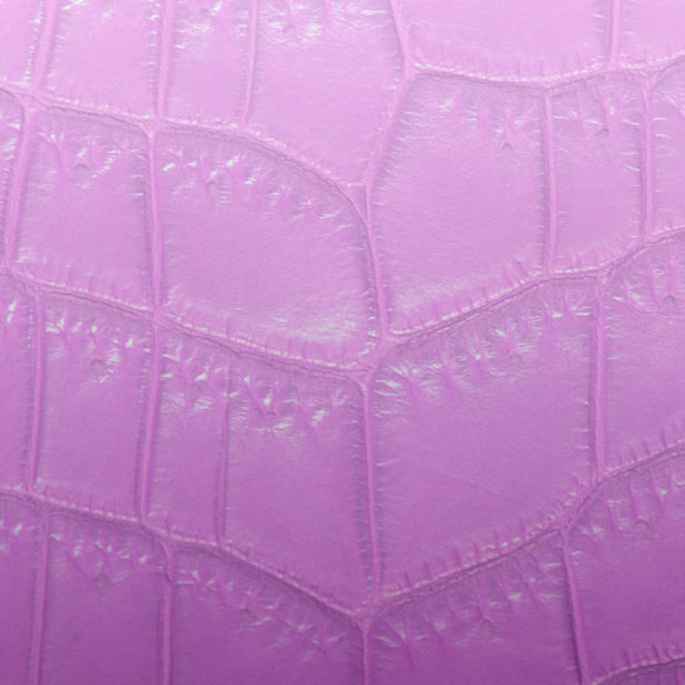 Leaf vein gradation Pink iPhone7 Plus Wallpaper