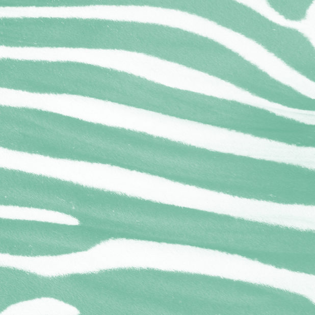 Zebra pattern Blue green iPhone7 Plus Wallpaper