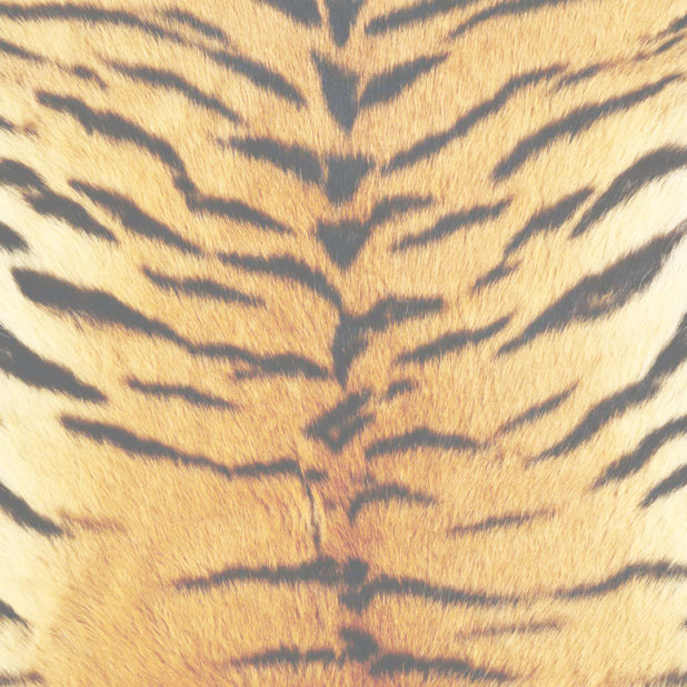 Fur pattern tiger yellow iPhone7 Plus Wallpaper