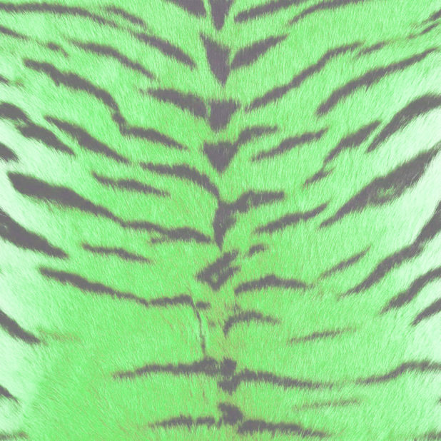 Fur pattern tiger Green iPhone7 Plus Wallpaper