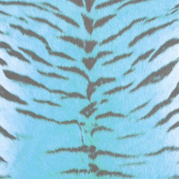 Fur pattern tiger Blue iPhone7 Plus Wallpaper