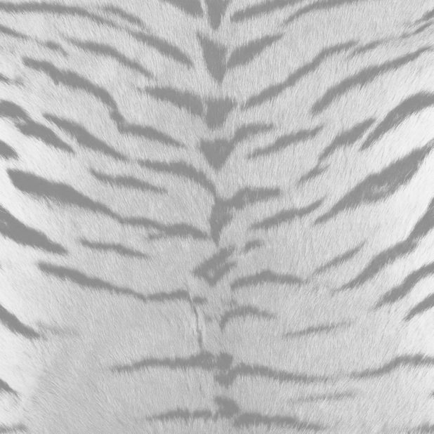 Fur pattern tiger Gray iPhone7 Plus Wallpaper