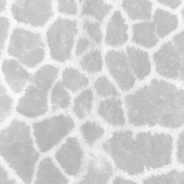 Fur pattern Gray iPhone7 Plus Wallpaper