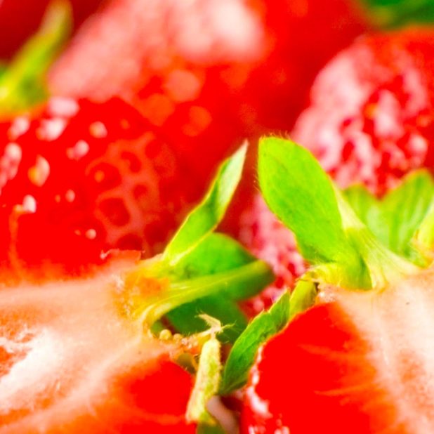 Food strawberries iPhone7 Plus Wallpaper