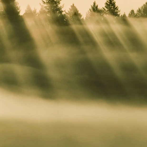 Landscape fog iPhone7 Plus Wallpaper
