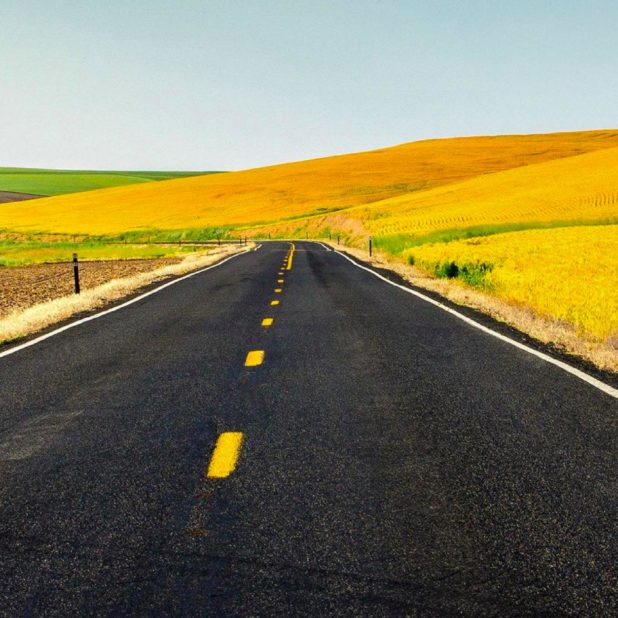Road sky yellow landscape iPhone7 Plus Wallpaper