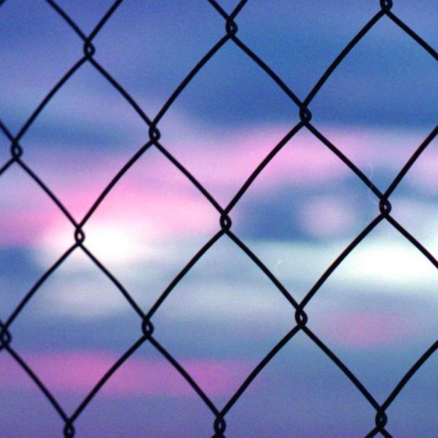 Wire mesh cool blur iPhone7 Plus Wallpaper