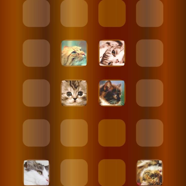 Shelf cat tea iPhone7 Plus Wallpaper